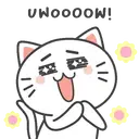 Cats Reaccions Mov 9