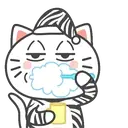 Cats Reaccions Mov 13