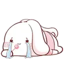 Aini rabbit MOV 30