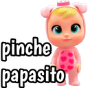 pinche
papasito