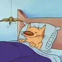 Good morning 11