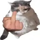 Con fondo variados 27