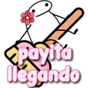 payita llegando
