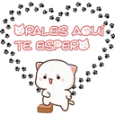 Mochis 1 13