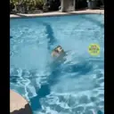 Niños Accidentados 2 22