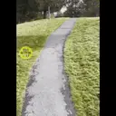 Niños Accidentados 2 16