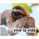 vive la vida