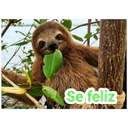 Se feliz