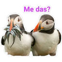 Me das?