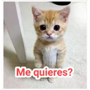 Me quieres?