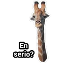En
serio?