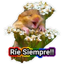 Ríe Siempre!!