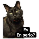 Es
En serio?