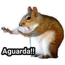 Aguarda!!