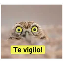 Te vigilo!