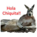 Hola
Chiquita!!