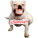 fi Sonríe!!