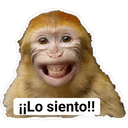 ¡¡Lo siento!!