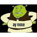 (COD)
ay nose