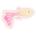 (11
B