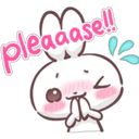 Baby Rabbit 10