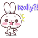 Baby Rabbit 14