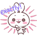Baby Rabbit 4