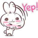 Baby Rabbit 15