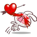Baby Rabbit 11