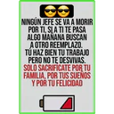 Locuras 17