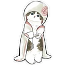 Gatitos Hermosos⓷ 19