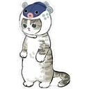 Gatitos Hermosos⓷ 29
