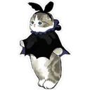 Gatitos Hermosos⓷ 11