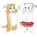 Gatitos Hermosos⓷ 8