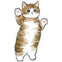 Gatitos Hermosos⓸ 20