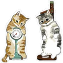 Gatitos Hermosos⓸ 18