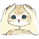 Gatitos Hermosos⓸ 24