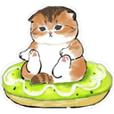 Gatitos Hermosos⓸ 8