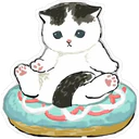 Gatitos Hermosos⓸ 22