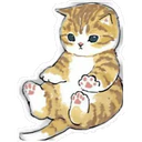 Gatitos Hermosos⓸ 16