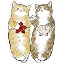 Gatitos Hermosos⓸ 6
