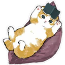 Gatitos Hermosos⓸ 17