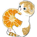 Gatitos Hermosos⓸ 14