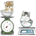 Gatitos Hermosos⓸ 2