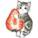 Gatitos Hermosos⓹ 12