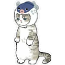 Gatitos Hermosos⓹ 29