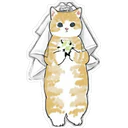 Gatitos Hermosos⓹ 1