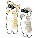 Gatitos Hermosos⓹ 10