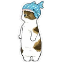 Gatitos Hermosos⓹ 27