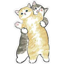 Gatitos Hermosos⓹ 14
